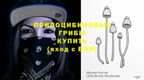 твердый Арсеньев