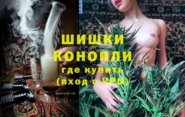 твердый Арсеньев