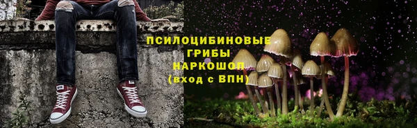 хмурый Армянск