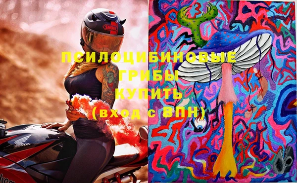 твердый Арсеньев